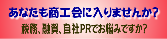 nykai01.png